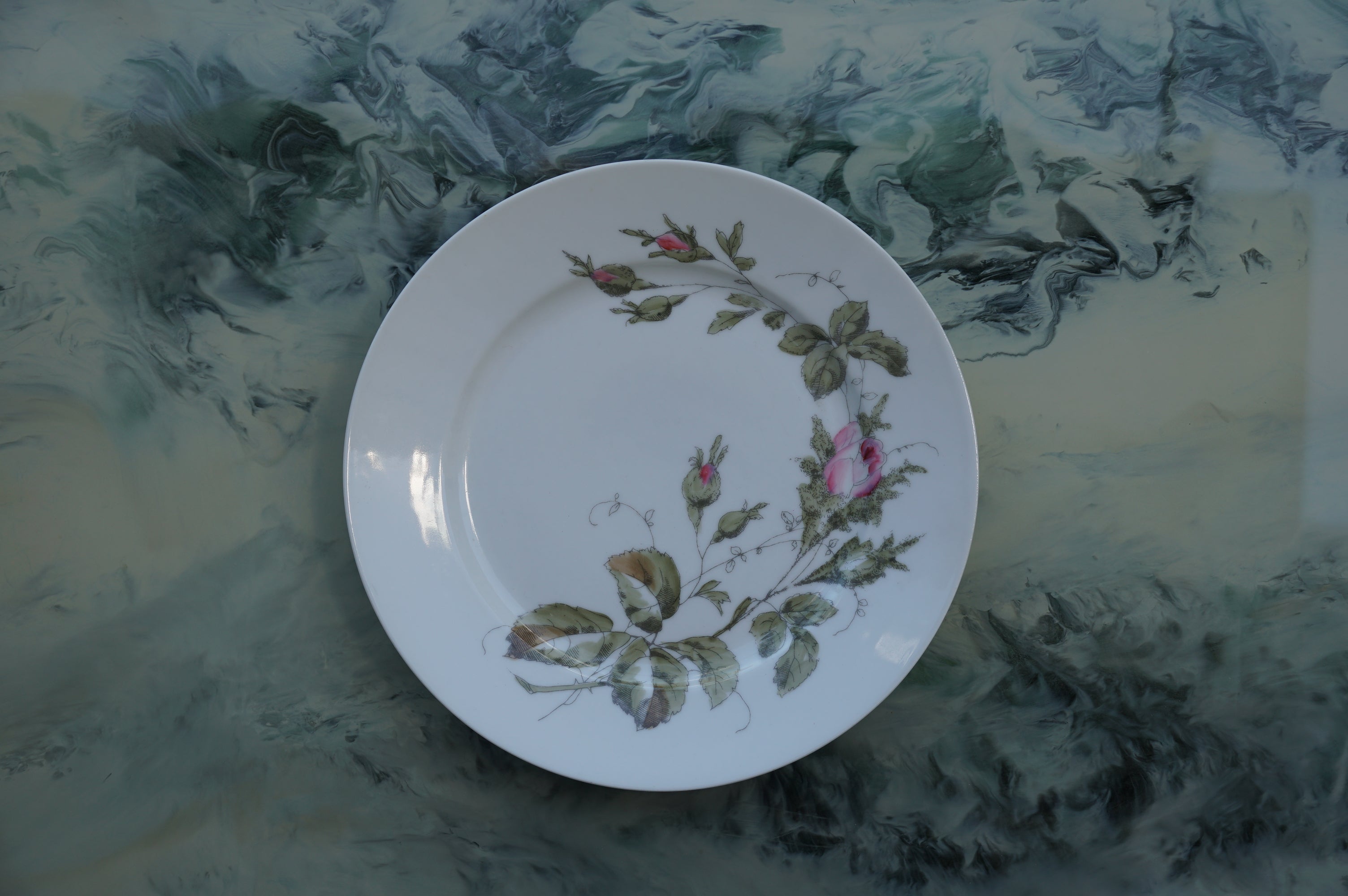 RICHARD GINORI DINNER PLATES